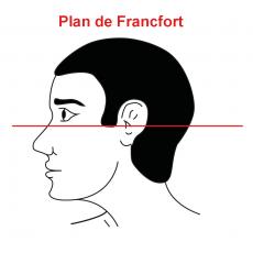 plan de Francfort